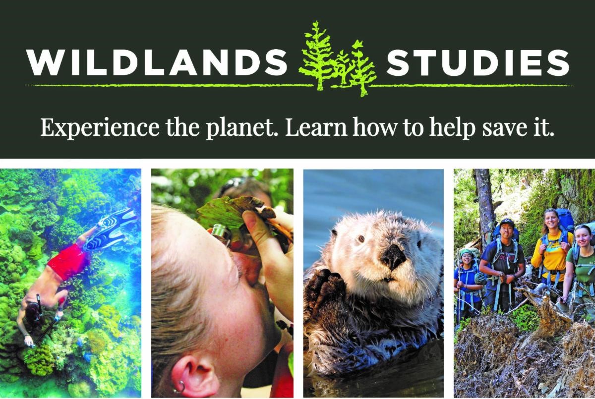 Wildlands Studies logo